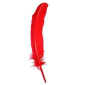 Indian feather - RED