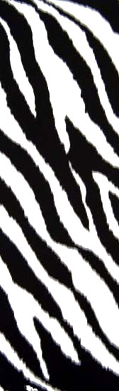 Zebra mintás fürdőruha anyag - BLACK/WHITE