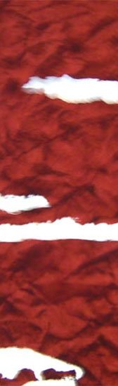 Nyomott mintás fürdőruha anyag - #55 BURGUNDY