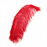 Strucctoll 55-60 cm - RED (20)