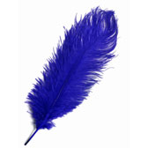 Strucc toll - ROYAL BLUE (15)