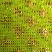 Glitteres tüll - MELA VERDE
