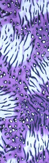 Printed pattern lycra - VIOLET