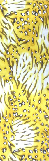 Printed pattern lycra - YELLOW