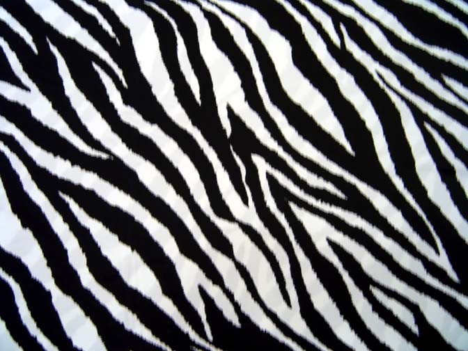 Zebra mintás fürdőruha anyag