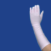 Gloves ds 1239-8bl