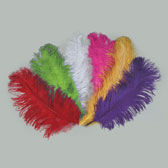 Ostrich Feather Plume